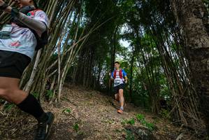 BIB: 
                            <button type="button" onclick="openModal(19395765)" class="btn btn-primary btn-sm float-right btn-popup" data-toggle="modal" data-target=".modal-high-quality">
                        <i class="fas fa-shopping-cart"></i> Add to Cart
                    </button>
                                            <button type="button" onclick="isThisMe(19395765, true)" class="btn btn-success btn-sm float-right btn-popup btn-isme hidden" data-toggle="tooltip" data-placement="bottom" title="นี่คือรูปของคุณใช่ไหม คลิกที่นี่เพื่อเอาเข้าอัลบั้ม">
                        <i class="fas fa-plus"></i> Add to album
                    </button>
                    <button type="button" onclick="isThisMe(19395765, false)" class="btn btn-warning btn-sm float-right btn-popup btn-isnotme hidden">
                        <i class="fas fa-ban"></i> Remove from album
                    </button>